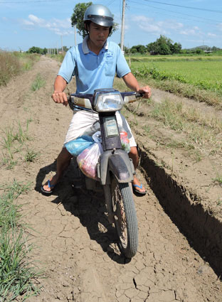 Sẽ nâng cấp đê ngăn mặn tại ấp Gò Sầm