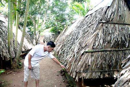 Bất cập quán cà phê chòi lá