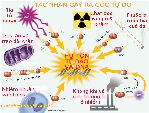 Suy giảm trí nhớ do  cuộc sống hiện đại
