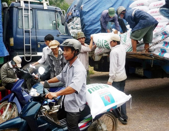 Thị trường phân bón đầu vụ Ðông Xuân 2014-2015 Nguồn cung dồi dào, giá ổn định