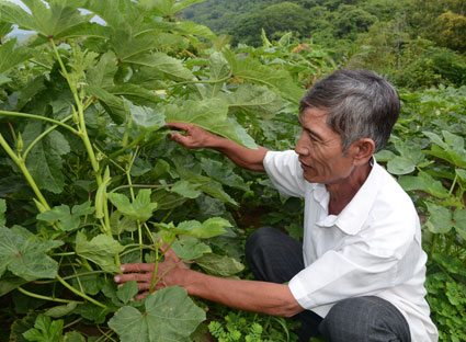 Tín dụng hộ cận nghèo, nguồn vốn chống tái nghèo hiệu quả