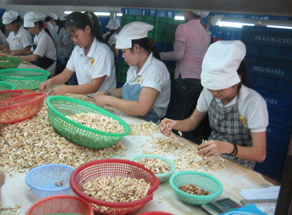 Xuất khẩu nhóm nông lâm sản tăng nhẹ