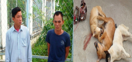 Bắt giữ 2 cẩu tặc
