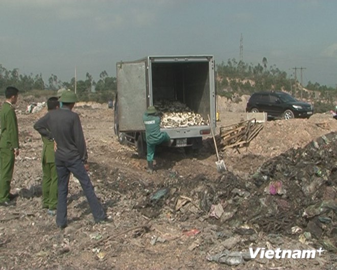 (Ảnh: Nguyễn Hoàng/Vietnam+)