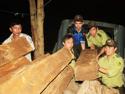 Ngăn chặn nhiều điểm nóng phá rừng