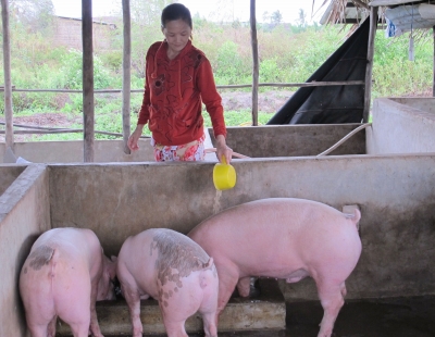 Gắn bảo vệ môi trường với phát triển kinh tế