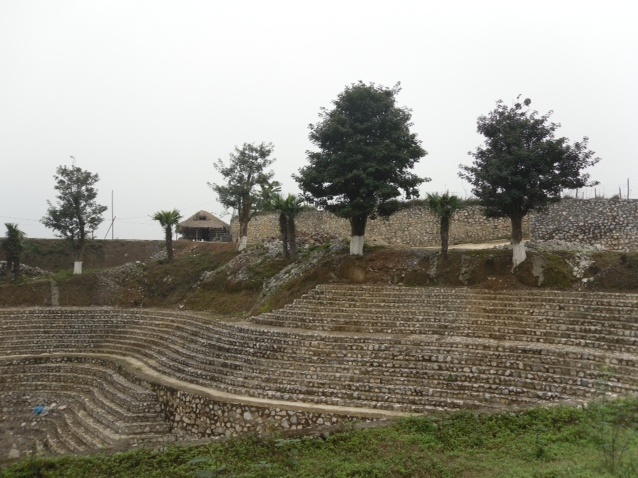 Kẻ gây án có được bao che