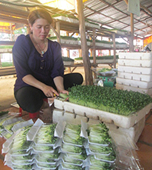 Nhiều sản phẩm nông nghiệp của Bình Dương tham gia hội chợ