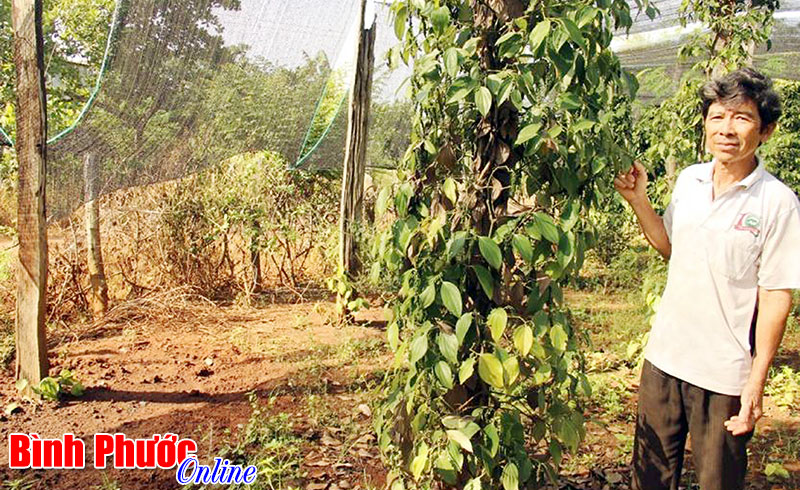 10 năm phải sống chung với ngập lụt