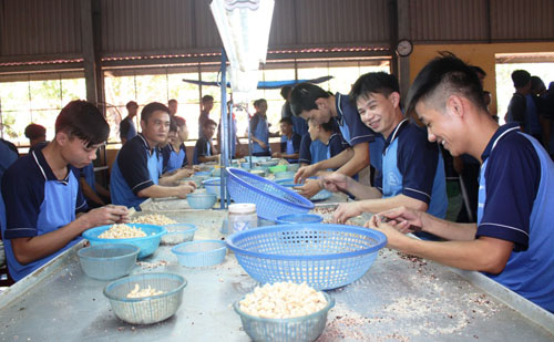 Chống tái nghiện ma túy Cần sự chung sức của cộng đồng