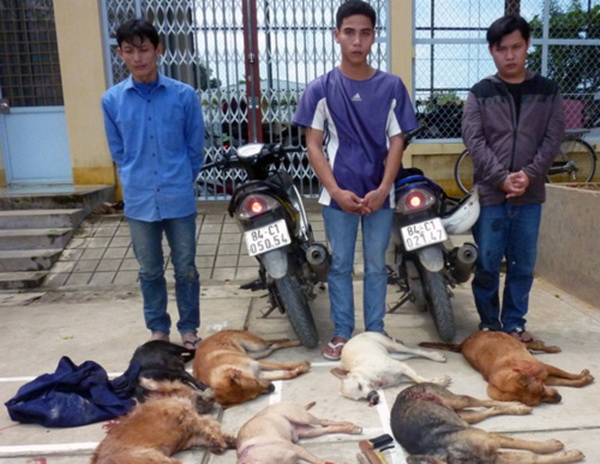 Trộm cướp chó và sự cảnh báo về trật tự xã hội