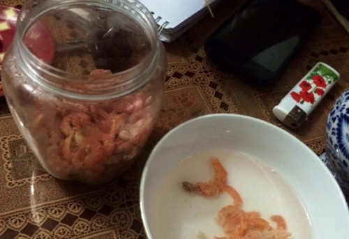 Người tiêu dùng mua phải tôm nghi làm từ nhựa, cao su