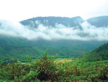 Những con tàu ra khơi
