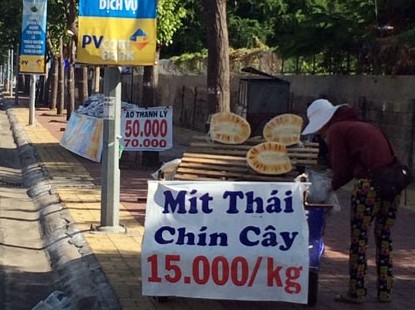 Cẩn thận với mít Thái chín cây