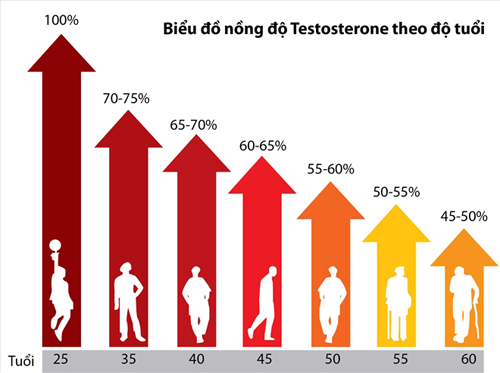 Các nghiên cứu cho thấy, sau 30 tuổi, nội tiết tố nam testosterone trung bình giảm 1% mỗi năm.