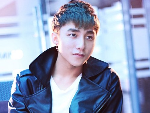 Năm 2014 sôi động nghi án đạo nhạc