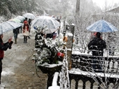 Tuyết rơi dày tới 10-15 cm, du khách đổ về Sa Pa