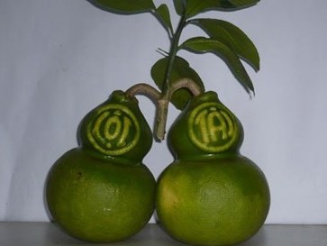 Điểm mặt những đặc sản chưa đến Tết đã cháy hàng