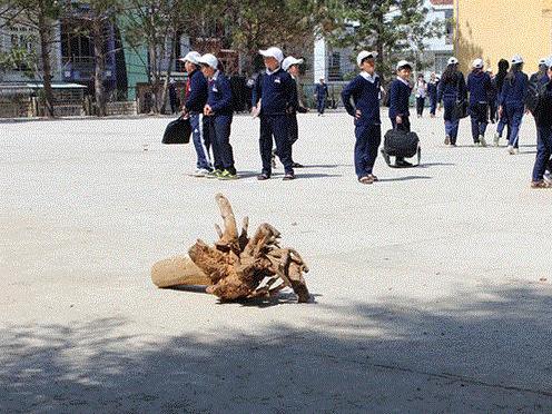 Đà Lạt Học sinh bị tử vong trong giờ học môn thể chất