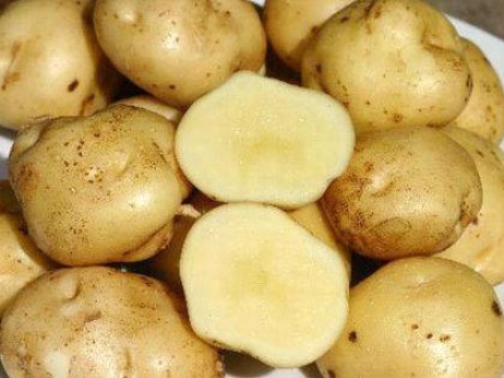 7 công dụng khác của khoai tây có thể bạn chưa biết