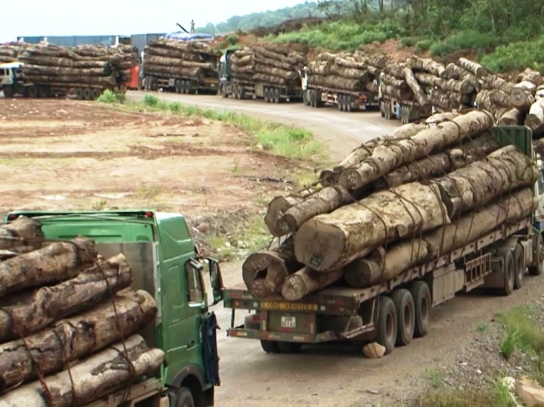 Hải quan gặp khó, doanh nghiệp khóc ròng