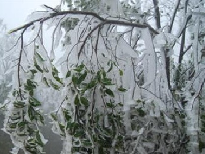 Sẽ có 1-2 đợt rét đậm ở miền Bắc trước Tết Nguyên đán Ất Mùi