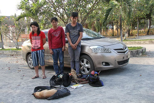 Cuối năm, trộm chó lộng hành