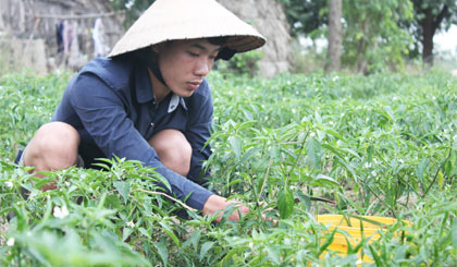 CLB Thắp sáng niềm tin  Điểm tựa của thanh thiếu niên chậm tiến