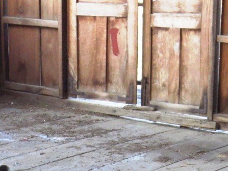 Xác chết lõa thể đang phân hủy trong ngôi nhà hoang