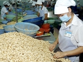 Lần đầu tiên Việt Nam xuất khẩu điều đạt 2 tỷ USD