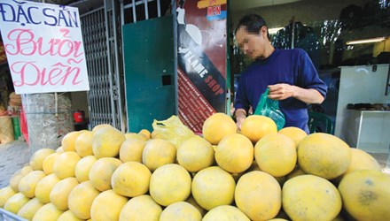 Đủ kiểu đặc sản đội lốt dịp Tết