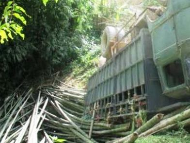  Một vụ tai nạn lật xe chở luồng vào tháng 8/2014 cũng tại địa phận huyện Quan Hóa.