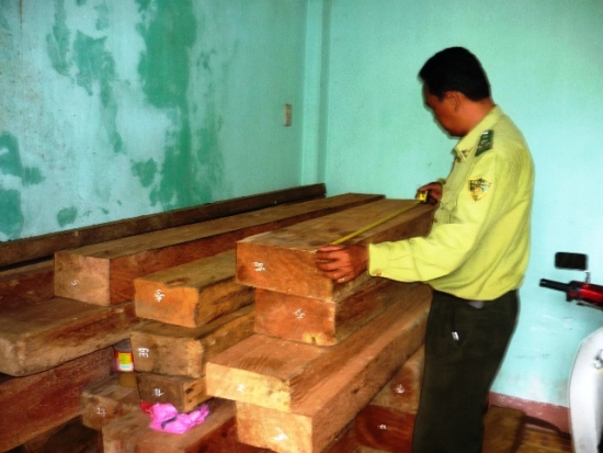 Phát hiện nhiều vụ vận chuyển lâm sản trái phép trong dịp Tết Ất Mùi 2015