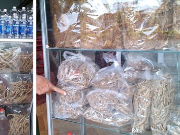 Tốn tiền triệu mua sâm  rác