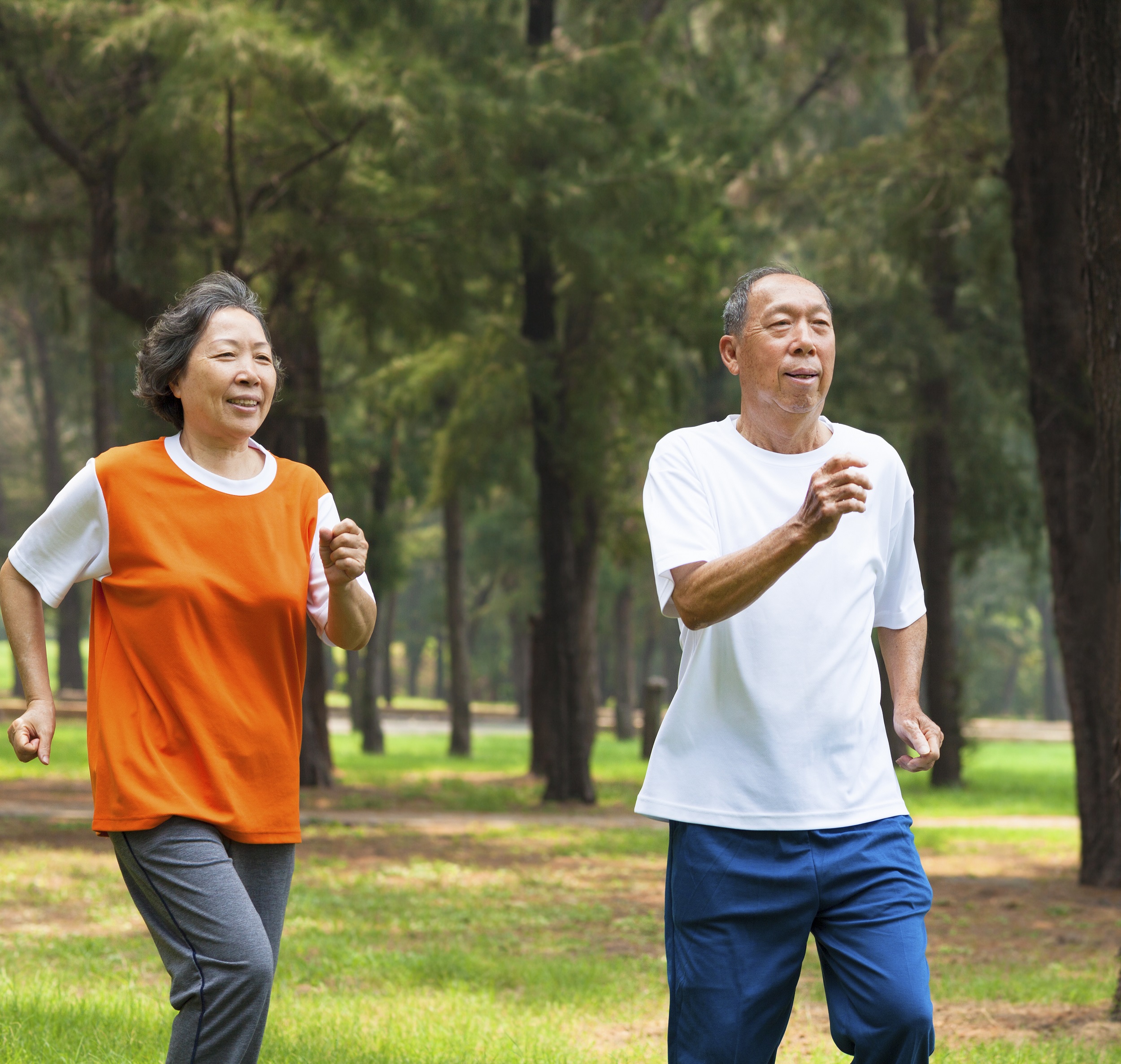 Với việc bổ sung dưỡng chất đầy đủ trong chế độ ăn uống hằng ngày, việc sống lâu sống khỏe không còn là điều quá khó thực hiện với những người lớn tuổi Việt Nam
