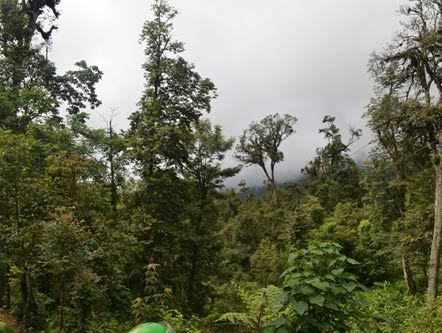 Sát nhân vùng Tây Bắc - Kỳ 1 Xuất xứ kỳ lạ của cọp rừng