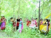 Kỳ lạ ngôi làng cứ mỗi bé gái ra đời lại trồng 111 cây xanh
