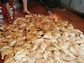 Rợn người Đèn khò nướng trăm con gà trên nền nhà bẩn