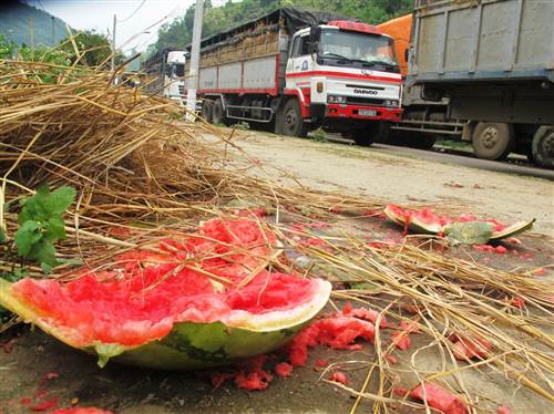 Mở cửa khẩu từ 7h - 20h đưa dưa hấu xuất ngoại