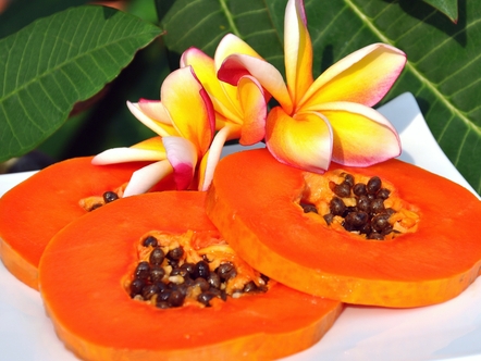 Những lợi ích bất ngờ từ đu đủ