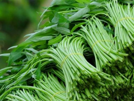 Dấu hiệu nhận diện các loại rau, củ ngậm thuốc  kích phọt