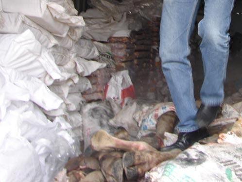 Trâu thối, lợn sề về Việt Nam thành bò ngoại giá chát