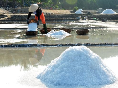 Giá muối xuống dưới 1 000 đồng một kg vẫn ế
