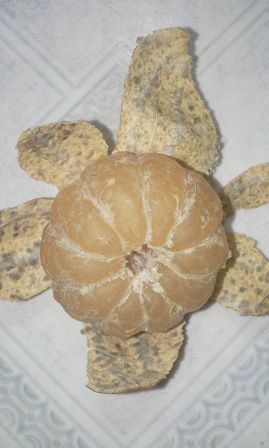 Kinh hoàng quýt mới mua đã mốc xanh, mốc đỏ