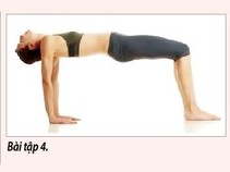 Những bài tập giúp đốt cháy mỡ dư thừa