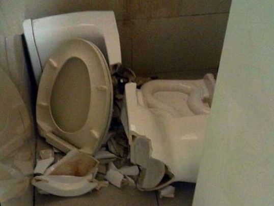 Bị thương vì ngồi xổm làm sập bồn cầu