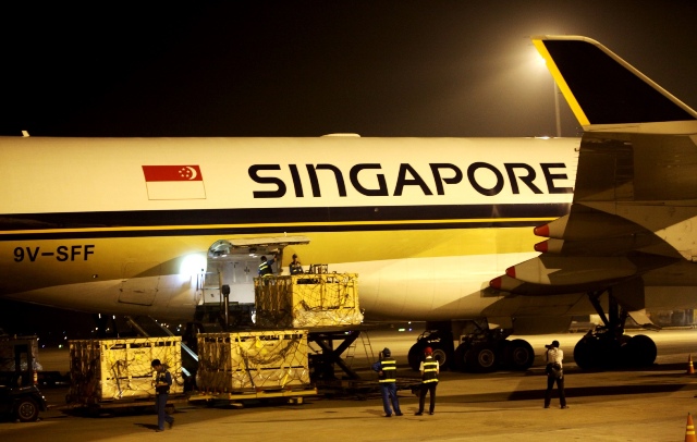 Chiếc chuyên cơ của Hãng hàng không Singapores Airlines chở những “cô bò” cao sản mang thai được Vinamilk nhập về đêm ngày 20.4