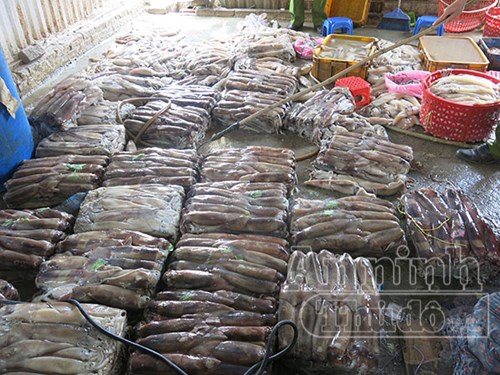 Hà Nội Mực thổi tẩy trắng thành đặc sản tiệc cưới