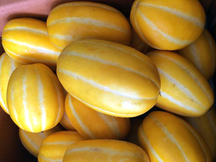 Dưa hấu ế thối đồng, ăn dưa vàng Hàn Quốc đắt trăm lần