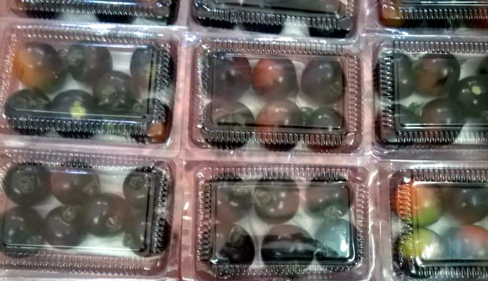 Cà chua đen 140 ngàn kg, khách ao ước được mua